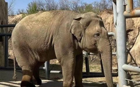 确认死亡！尸检结果出炉-正常死亡尸检报告多久能出来