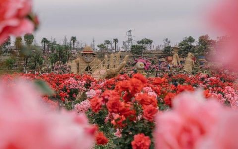 有一种叫云南的生活 | 曲靖多乐原“莫奈花园”美到爆，五一假期赶紧来打卡！（曲靖游乐园叫什么名字）