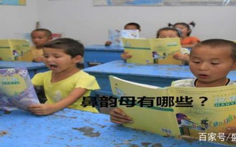 鼻韵母有哪些-前鼻韵母有哪些后鼻韵母有哪些整体认读音节有哪些