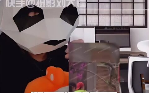 刘大锤辟谣关晓彤怀孕传闻：她都瘦成什么样了，怎么可能怀孕！-张大大和关晓彤