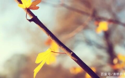 早安情话的暖心短句，暖心撩人，读完豁然开朗-早安小短句 暖心