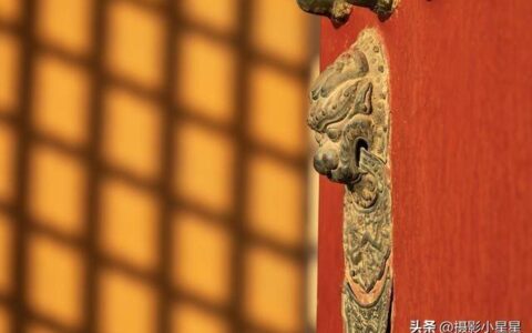 10种影子拍摄技巧：如何用影子拍出创意大片？-10种影子拍摄技巧:如何用影子拍出创意大片的效果