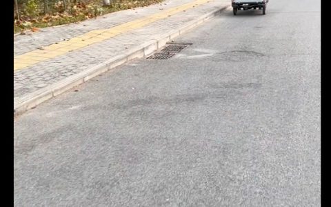 养4年的狗要被拿去做药引子，小狗也要卖掉，主人被骗还是土方？-药狗犯法么