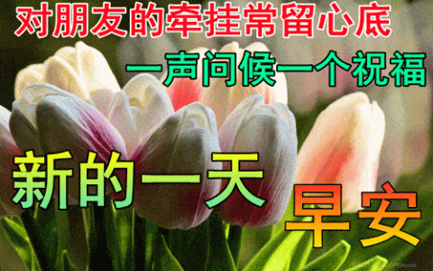 ​3月24日早上好祝福语图片及暖心问候动态表情图片大全！若爱，若恨……（写的真好）