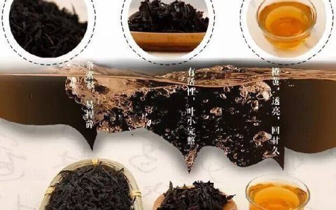 松针黑茶功效与作用(松针黑茶功效与作用及禁忌)-黑松针茶作用与功效