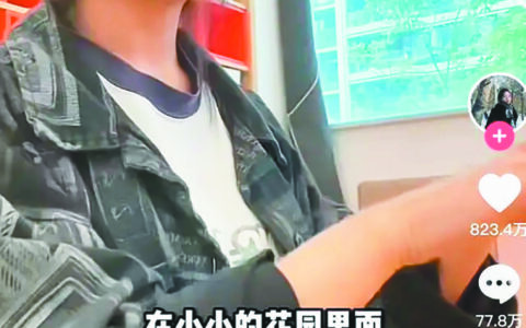 小小的儿歌“挖呀挖呀挖” 种天真的种子 开治愈的花-小小的种子儿歌