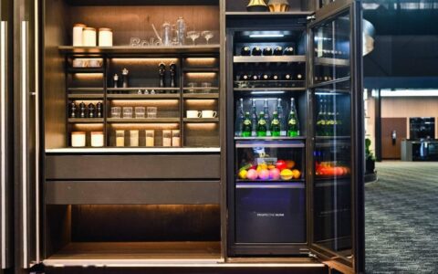 想买第二台冰箱的家庭，为何不建议买冰箱？-想买第二台冰箱的家庭,为何不建议买冰箱呢