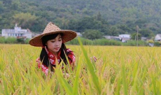 老话“好男有福一身毛,好女无毛一身膘”是什么意思?