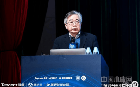 苏伟：双碳背景下的绿色发展机遇(双碳背景下的能源发展现状)