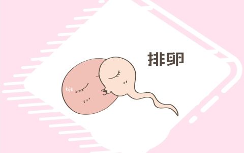 怎么知道自己排卵了?-排暖期怎么知道自己排卵了用什么试纸测生男