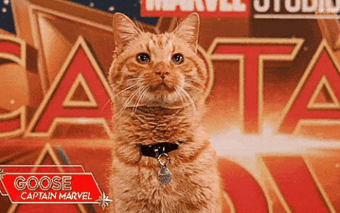 在《惊奇队长》中，大橘为重的“噬元兽”究竟是什么？