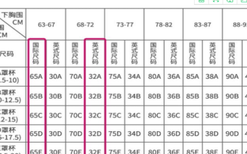 40码文胸码数对照表-40码文胸码数对照表
