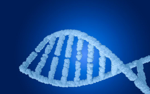 nmn科普：nad抗衰老真的有效吗，nad+的作用与功效-nad+是什么物质