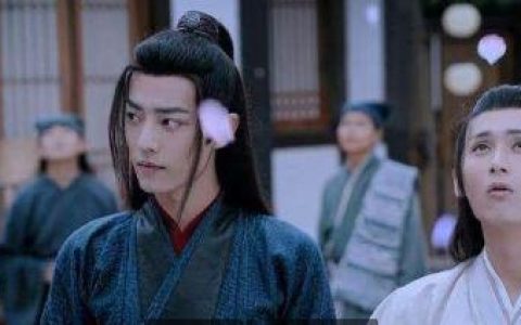 魏无羡掉入悬崖，蓝忘机为什么不跟和他一起？背后原因令人泪目-蓝忘机为什么不跟魏无羡走