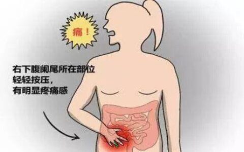 这个器官虽然没用，但疼起来真难受，你知道是什么吗？-器官疼怎么回事