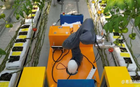 机器人系统，该系统利用团队合作来采摘水果并自主运输