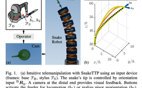 远程操作蛇形机器人的有效策略