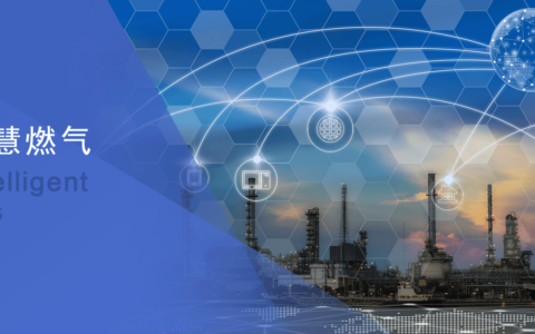 以“智”促防 智慧燃气三维可视化管理系统
