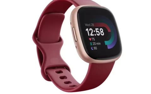 谷歌 Fitbit 发布 Sense 2 和 Versa 4 智能手表，前者可评估压力