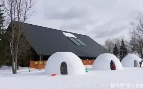 忙碌豫园 左手接盘复星滑雪场资产、右手发60亿债