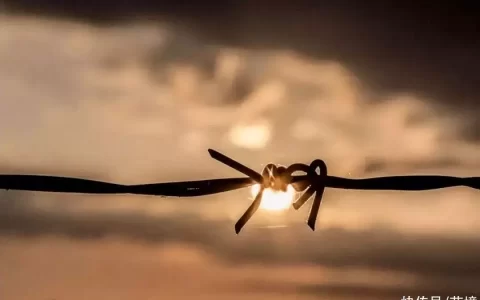 老了才知道，多子女家庭跟独生子女家庭的本质区别，很现实