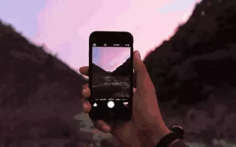 壹点日历5.3|收获不是一朝一夕的事，是一如既往的坚持！