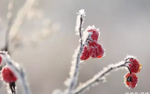 两个有家室的人相爱了，女人敢做这3件事，才是真的厉害