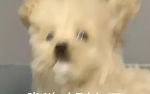 向大气层发射微粒以改变全球气候，这家公司外售「冷却信用额度」