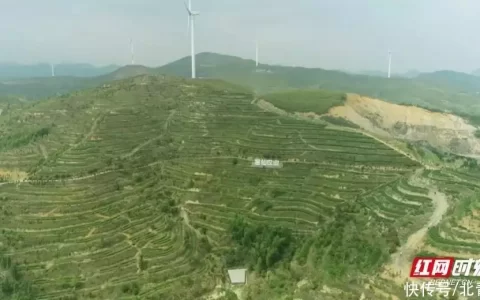 桂阳：“旧煤山”里采“新”茶 茶旅融合促振兴《庆余年2》10号开机，十大主演人选公布，肖战、李沁成意外惊喜（桂阳九中在哪个位置）