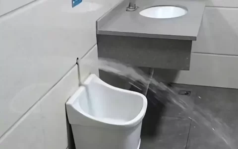 拧下公厕水龙头装自已家 男子自私行为换来行政拘留（卫生间水龙头坏了）