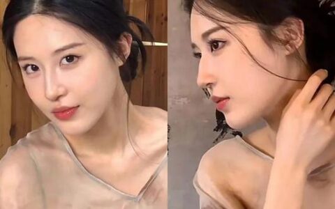 碰瓷刘亦菲还全网好评，姐这张脸真是集天地精华了吧？！(刘亦菲近期活动)