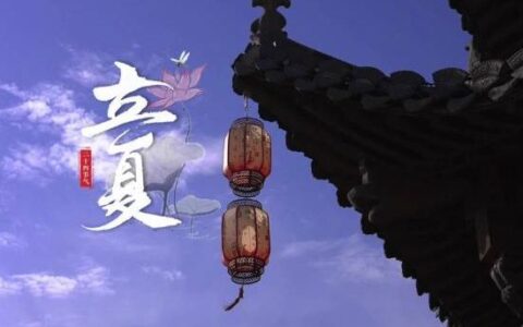 【散文情怀】立夏随笔–挖苦菜-关于挖苦菜的作文