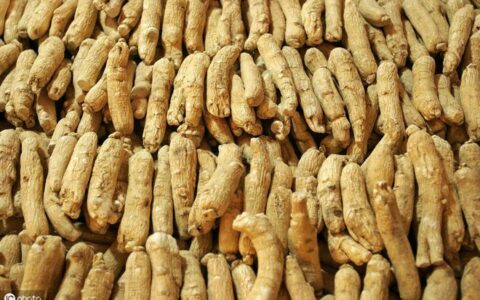 西洋参滋阴补气，但是很少有人知道它怎么引进的-西洋参怎么吃补气血