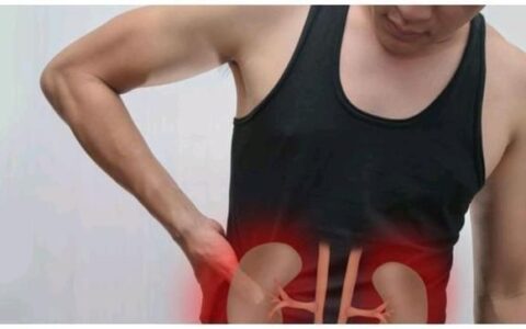 春天怎么养肾？建议正确打开身体的一处“补肾开关”，温肾又补气-春季养肾的养生知识有哪些