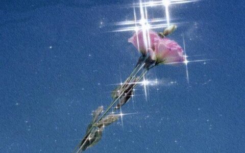 「早安」不辜负岁月的早安句子，干净暖心，愿七月元气满满！-早安,不负好时光