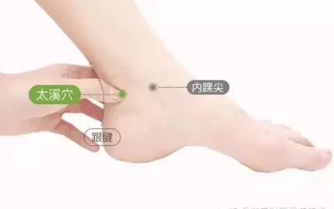 太溪是肾经的原穴，它是全身的大补穴-太溪属于什么经脉