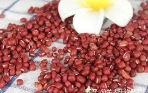 体内湿气重怎么改善祛除？-体内湿气重怎么改善祛除湿寒