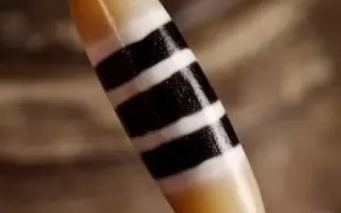 天珠到底是什么东西 天珠为什么那么贵-天珠是什么,值钱吗