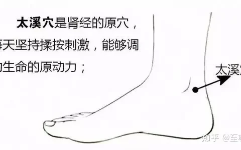 滋肾阴|壮肾阳|补肾气—太溪穴-补肾滋阴吃什么药效果好女性