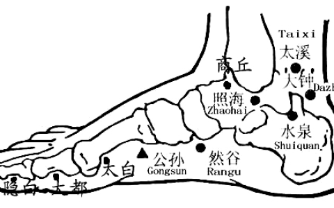 人体经络穴位治百病，很全，很实用，收藏了吧！-人体经络系统图片