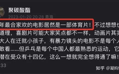 能让几代人都有共鸣的春节档电影，其实是《中国乒乓》(中国乒乓电影什么时候上映)