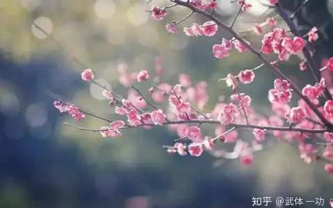 【一功分享】王维最美10首绝句，字字珠玑，首首如画(王维经典诗词)