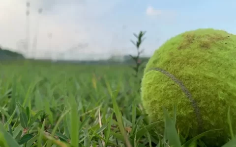 「势」#2 写作随想 按此不表-势力的意思