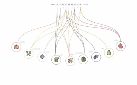 在 XMind 工作是怎样一种体验？
