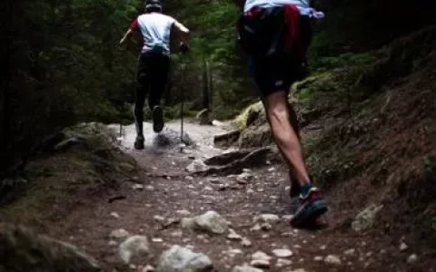 什么是一日人身意外保险？(单日意外险多少钱)