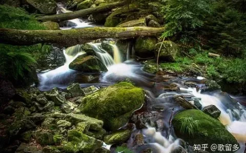 10首王维古诗词欣赏，感受“诗中有画”(王维的诗词精选十首)