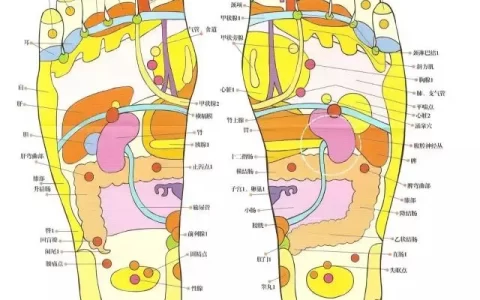 足底反射区速记口诀（总是记不住反射区的朋友有福了）-足底反射区位置及手法