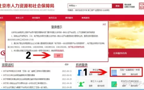 北京社保缴费申报操作流程(北京社保缴费申报操作流程图片)