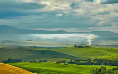 更新最近使用的绿色系壁纸 太爱绿色了！！(绿色壁纸ins风纯色系)