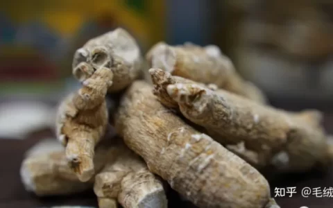 一文带你全方位了解西洋参功效有哪些？-哪些女人不能喝西洋参